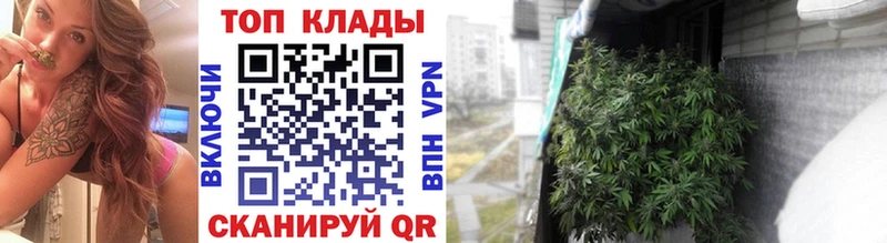 Меф мяу мяу Новодвинск