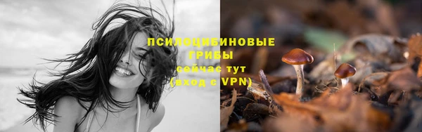 spice Аркадак