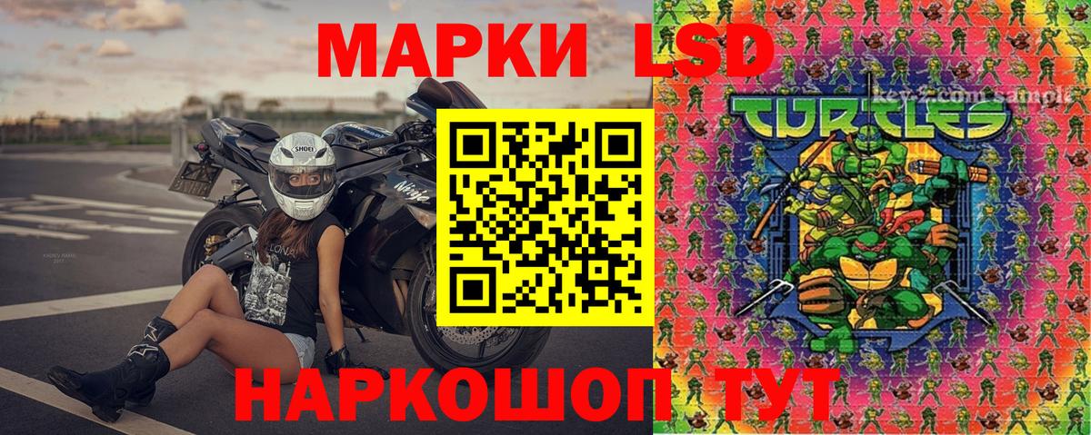 Марки NBOMe 1500мкг  Вход с VPN  Новодвинск 