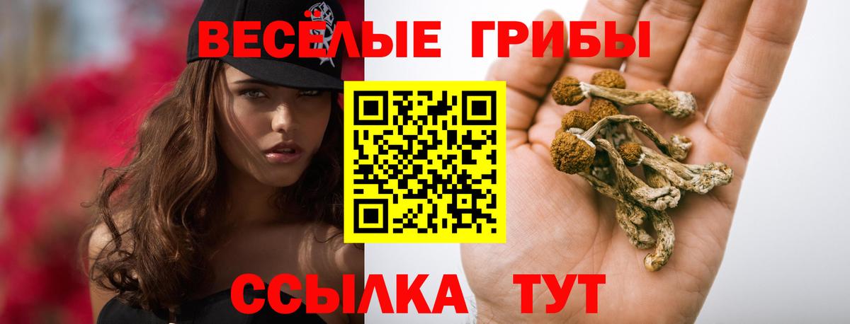 Галлюциногенные грибы прущие грибы Новодвинск