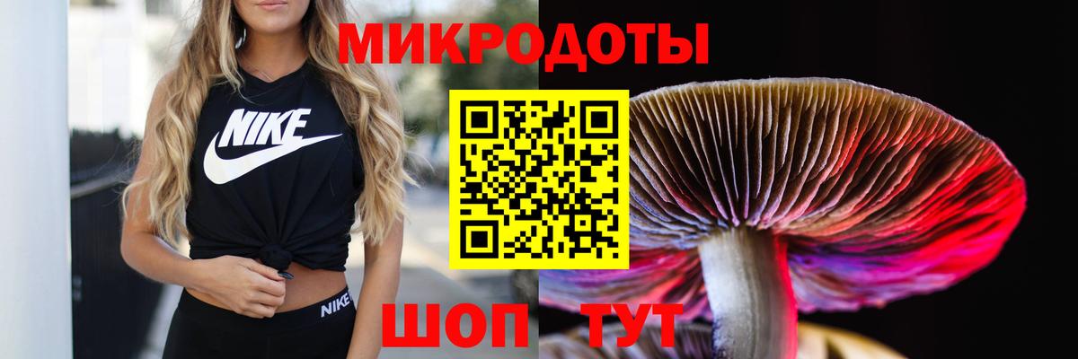 Новодвинск  Галлюциногенные грибы прущие грибы  Вход с VPN 